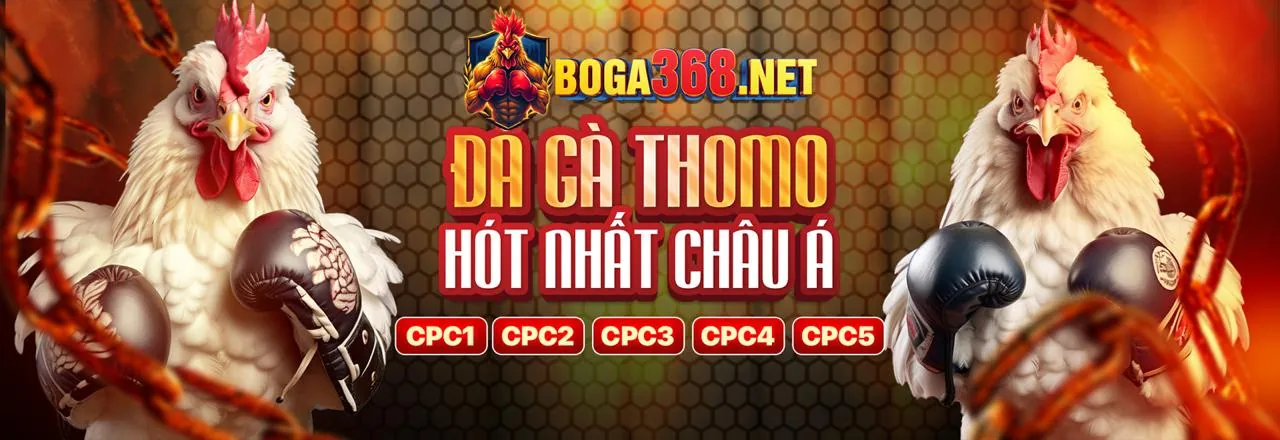 Đá Gà Trực Tuyến và Chiến Thuật Chơi Bài Phỏm
